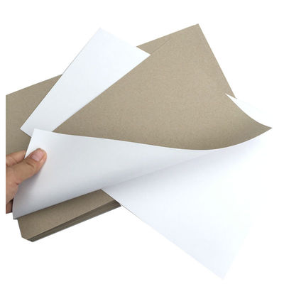One Side White Duplex Paper Board 200Gsm 230Gsm 250Gsm 300Gsm 350Gsm 400Gsm 450Gsm