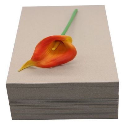 Cardboard for Anti-Curl Slate Board Ashen and Anti-Curl