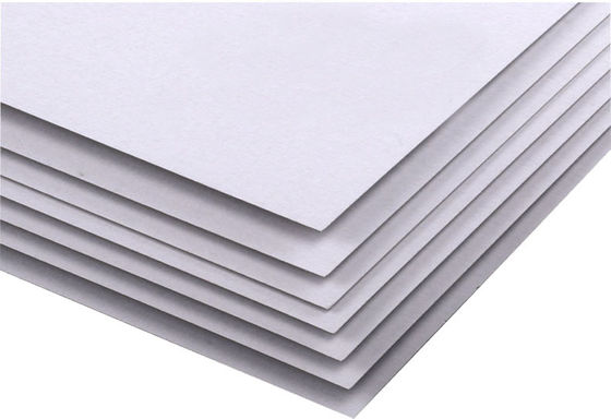 230 250 300 Gsm Carton Grade AA Duplex Board Grey Back Duplex Board Paper Grey Back