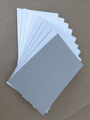 Hot Sales 250gsm Export Coated Card Board Paper Coated Duplex Board Grey Back White Back
