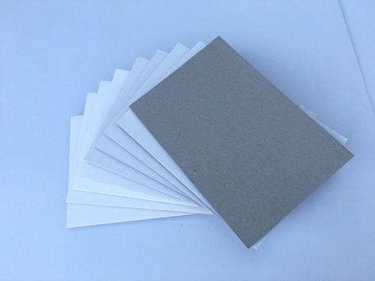 Hot Sales 250gsm Export Coated Card Board Paper Coated Duplex Board Grey Back White Back