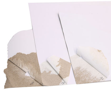 Density Card Compressed Paper One Side White Coated Duplex Board Grey Back White Pulp Board
