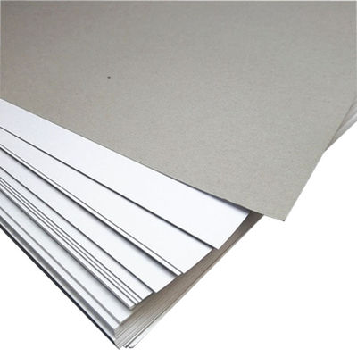 Gray Back Paper Board Raw Material Duplex Cardboard Roll Coated Duplex Paper Board Grey Back