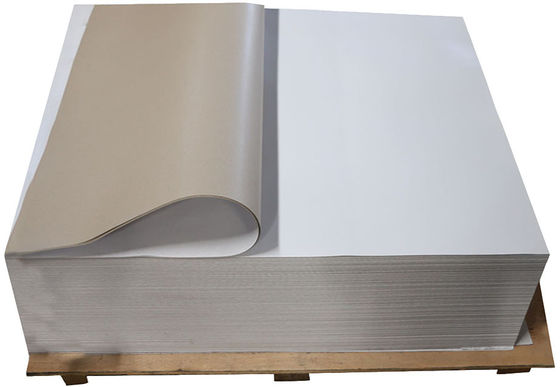 Custom Size Duplex Coated Board With Grey Back B A AA AAA Grade Duplex Paperboard