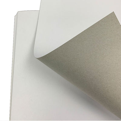 787*1092MM/889*1194/Customized Duplex Board Packaging with Grammage Range 200-450 g/m2