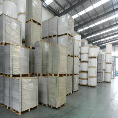 Coated Duplex Board Paper With Grey And White Back For Different Shapes