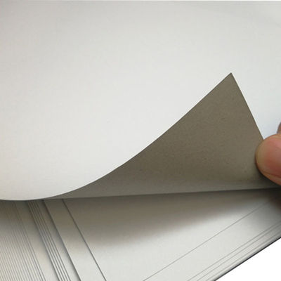 One Side Coated Paper Raw Material Duplex Cardboard With Grey Back Customized Size