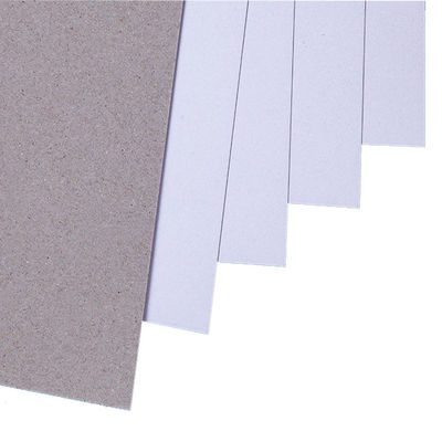 Cartons Raw Material Duplex Board Paper With Grey Back White Back Single Side
