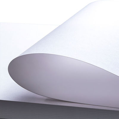 Folding Box Board FBB SBS C1S Ivory Board Uncoated Anti Curl