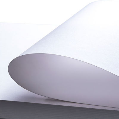 C1s Fbb Sbs Ivory Paper Board Sheets White Cardboard For Packing Box