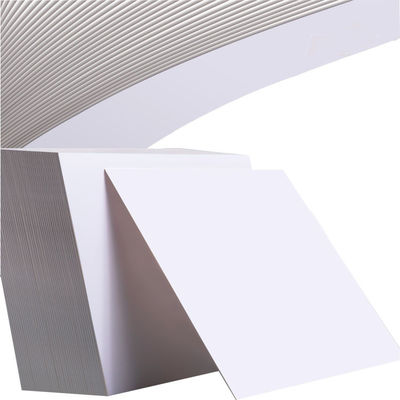 Gc1 Gc2 Fbb C2s C1s Ivory Board Paper Board Fbb Ivory Board Paper Cup Raw Material
