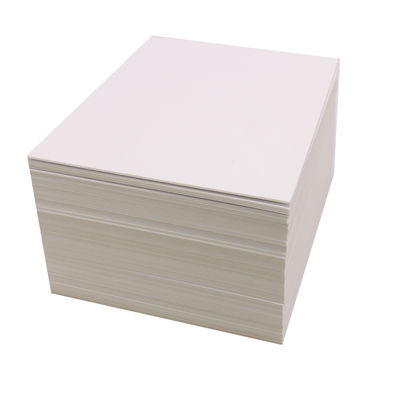White Ivory Paper Board SBS 230/250/300/350gsm C1S