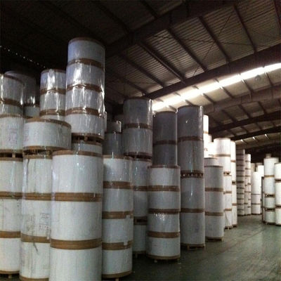 White Ivory Paper Board SBS 230/250/300/350gsm C1S