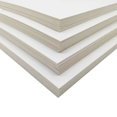 C2S Art Board/Art Card Paper 300 gsm for Printing and Bag Package