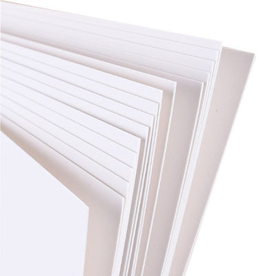 Low Cost For White Folding Box Board Paper C1S FBB In Jumbo Roll
