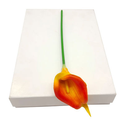 C1S FBB Ivory Board Paper 170gsm-400gsm One Side Coated Paper Manufacturers