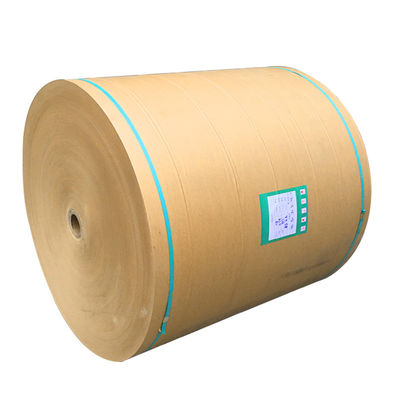 PE Coated Kraft Paper Roll Biodegradable Craft Brown Paper Recycled