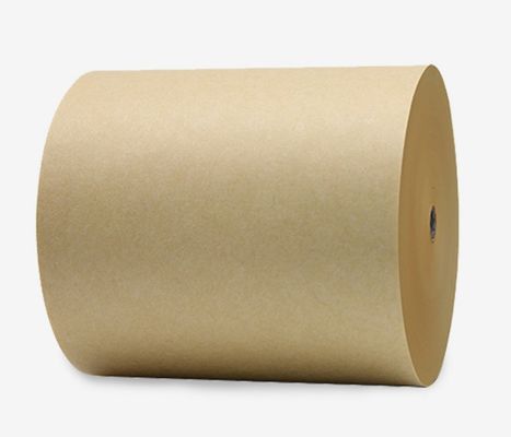 Log Pulp Paper C1S SBS FBB Ivory Board For Package Coated One Side Paper Sheet Roll Craft Paper PE Waterproof