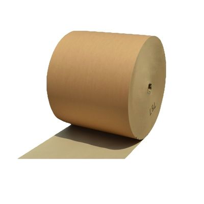 Eco Friendly Custom Kraft Paper Single Double Wall Pe Coated Roll