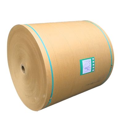 Eco Friendly Custom Kraft Paper Single Double Wall Pe Coated Roll