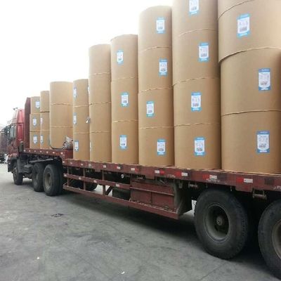 Eco Friendly Custom Kraft Paper Single Double Wall Pe Coated Roll