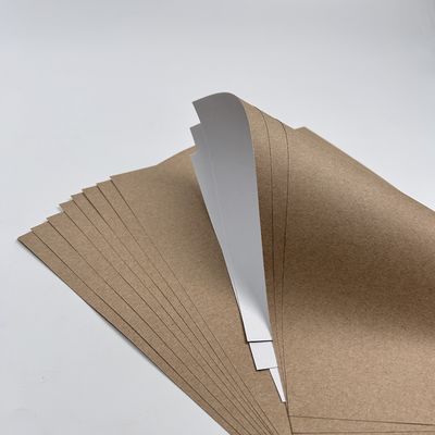 Coating Paint White Top Kraft Liner Paper Jumbo Roll with PE Coating Material Affordable