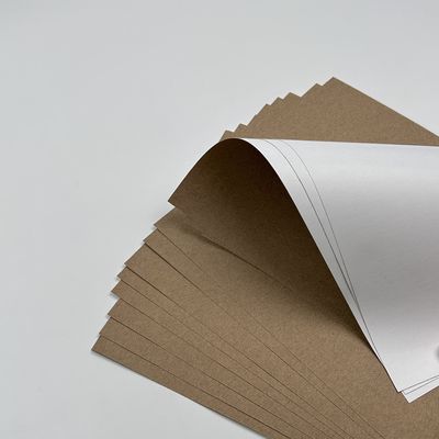 Coating Paint White Top Kraft Liner Paper Jumbo Roll with PE Coating Material Affordable