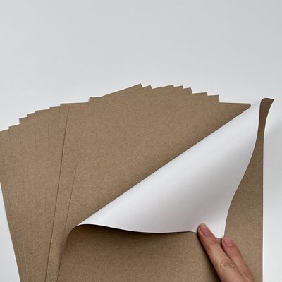 White Front Coated GC4 Kraft Back 280 GSM 660*1016 Board