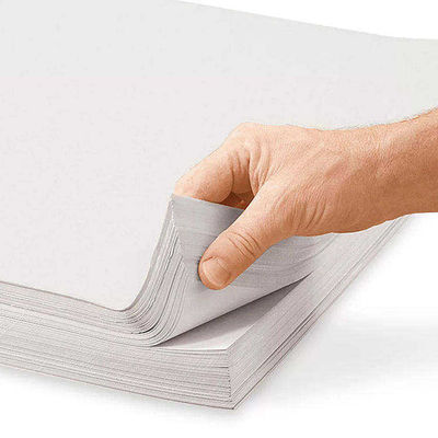 Customized Unprinted Newsprint Paper In Roll And Sheet 45gsm 48gsm 48.8gsm