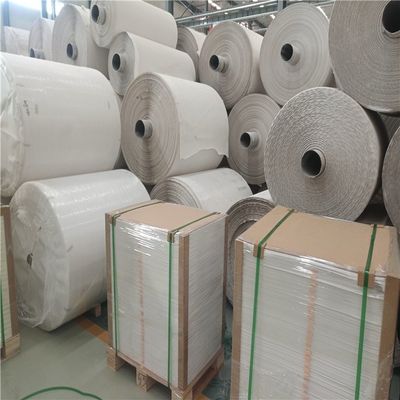 Recyclable Stone Paper Water Resistant 100um 120um Notebook Printing Paper Cutomized Size