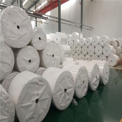Tree Free White Coated Stone Paper Waterproof 120g 144g 168g 240g Tearproof
