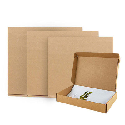 Packaging Custom Logo Printed Corrugated Cardboard Box Mailer Shipping Carton Box
