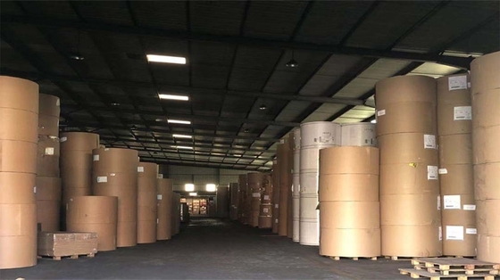 Wholesale PE Coated Paper Roll Recycled Kraft Paper Roll for Paper Bag